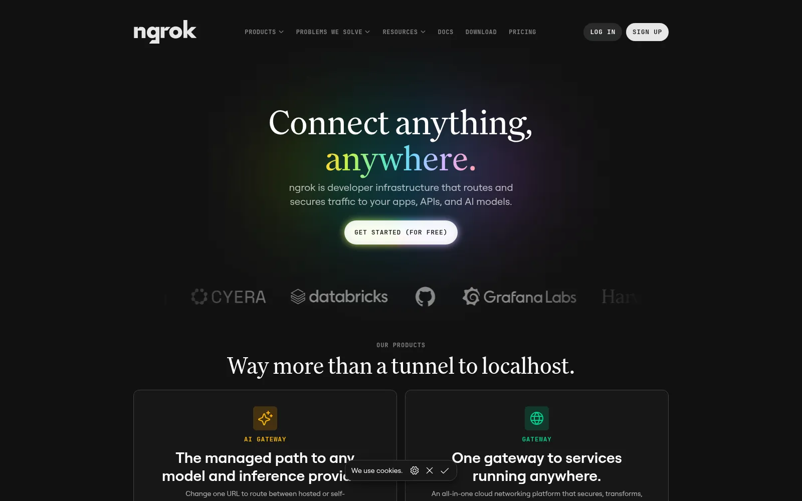 Screenshot of ngrok.com