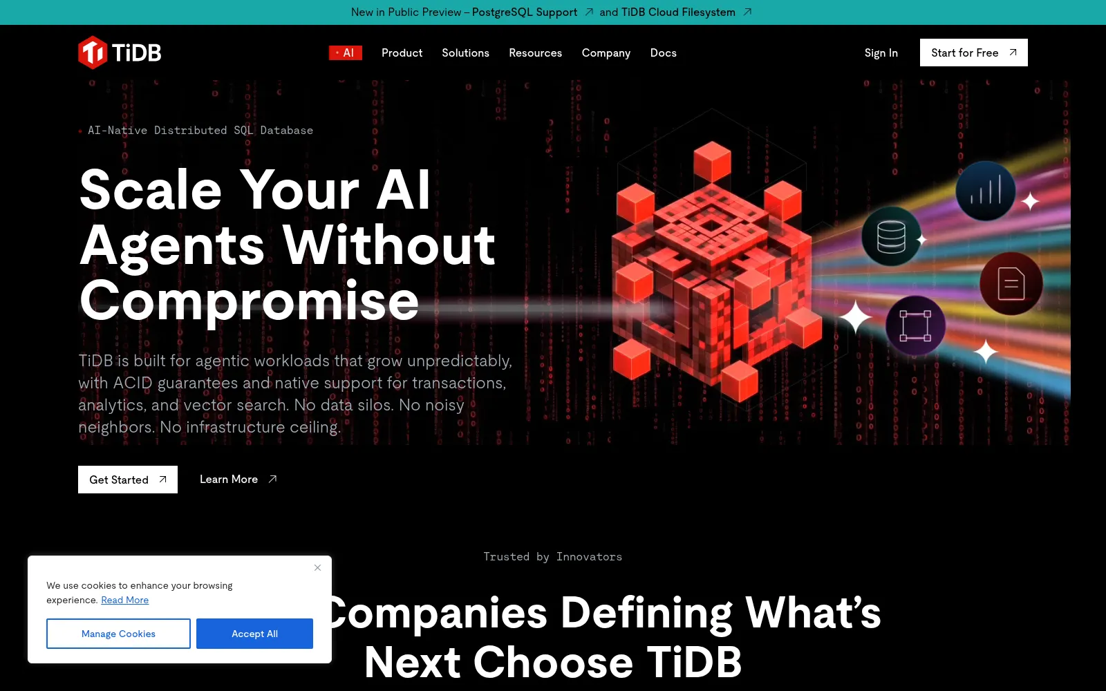 Screenshot of pingcap.com